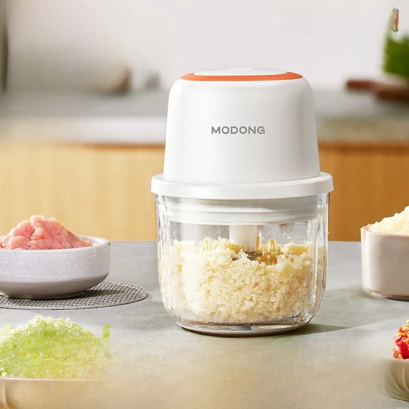 Electric Garlic Chopper Mini Food Processor 300ml 5V 45W