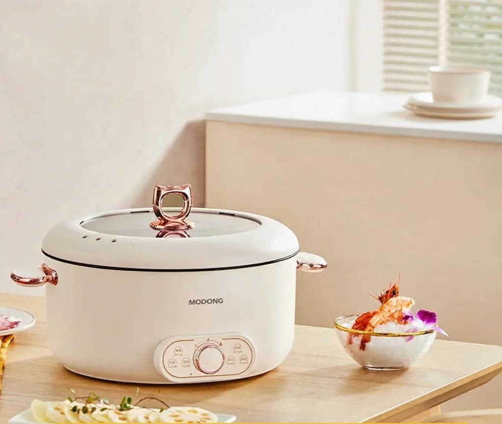 6L Electric Hot Pot With Steaming Basket, Nonstick