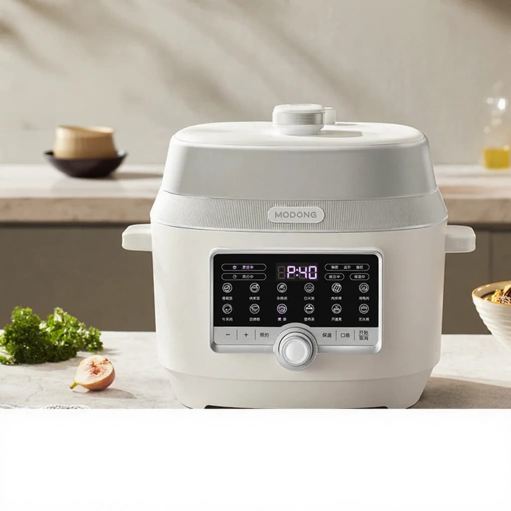 5L Electric Pressure Cooker With Dual Inner Pots