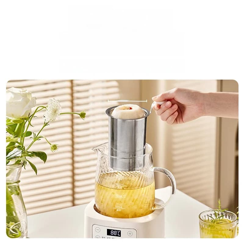Glass Electric Health Pot with Temperature Control 1.2L