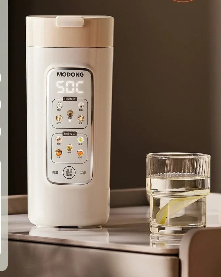 Portable Electric Water Heating Cup With Filter, 220V