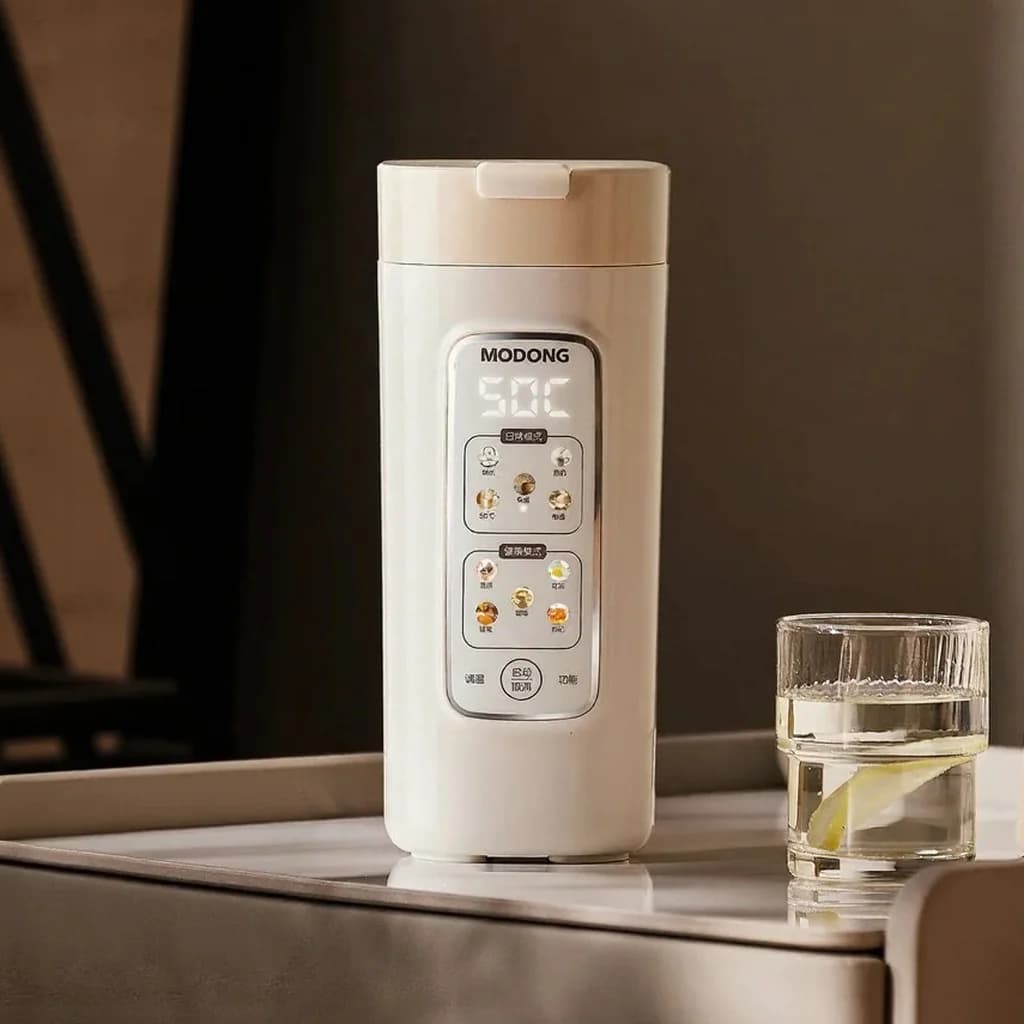 Portable Electric Water Heating Cup With Filter, 220V