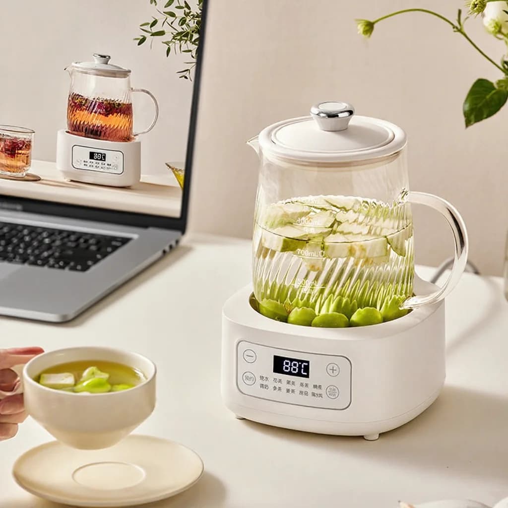 Glass Electric Health Pot with Temperature Control 1.2L
