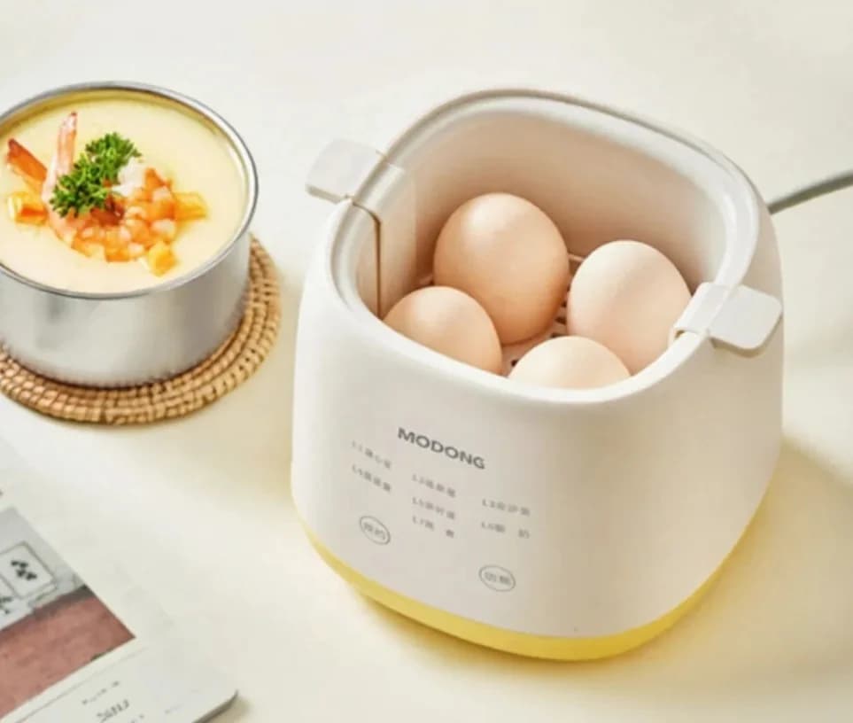 Electric Egg Boiler 4-6 Eggs With Egg Custard Bowl