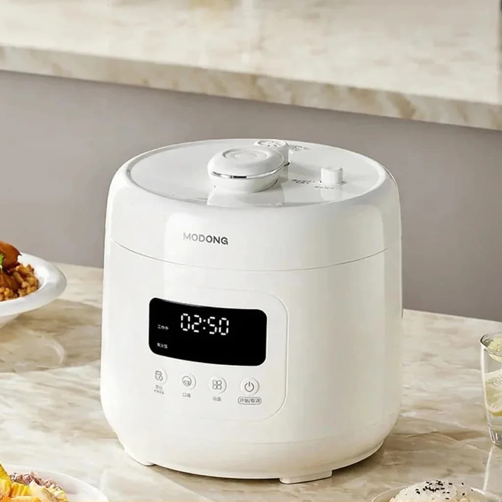 4L Electric Pressure Cooker with Ceramic Liner, 800W, 17-24H Timer