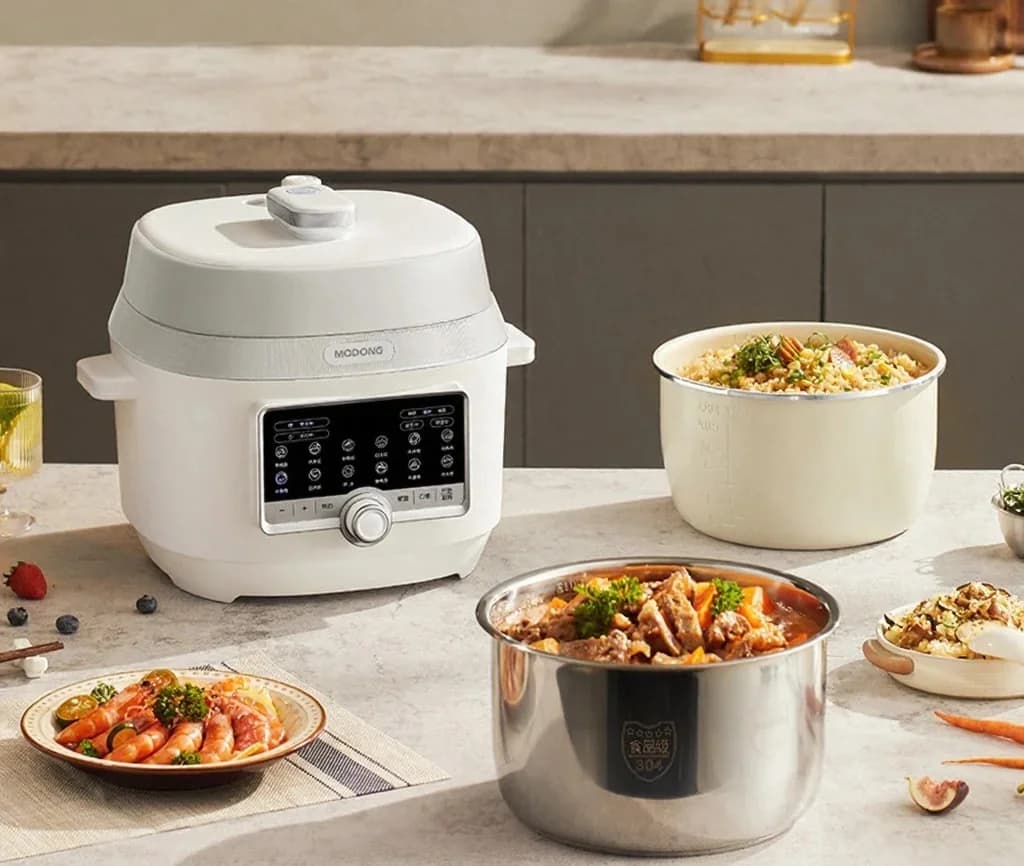 5L Electric Pressure Cooker with Double Inner Pots, 900W