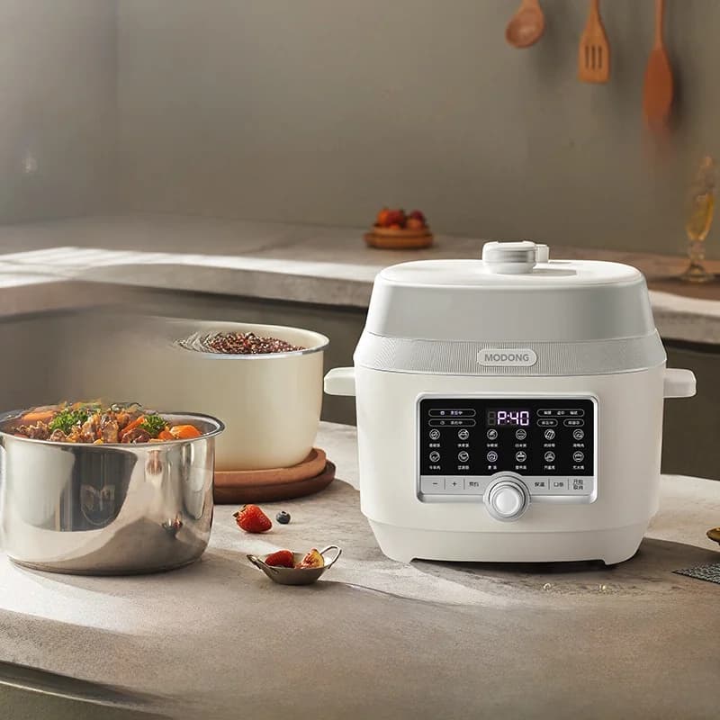 5L Electric Pressure Cooker with Double Inner Pots, 900W