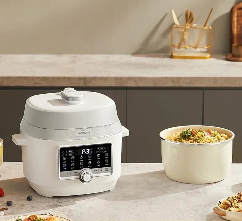 5L Electric Pressure Cooker With Dual Inner Pots