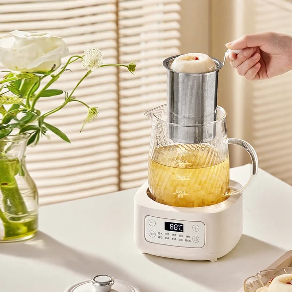 Glass Electric Health Pot with Temperature Control 1.2L