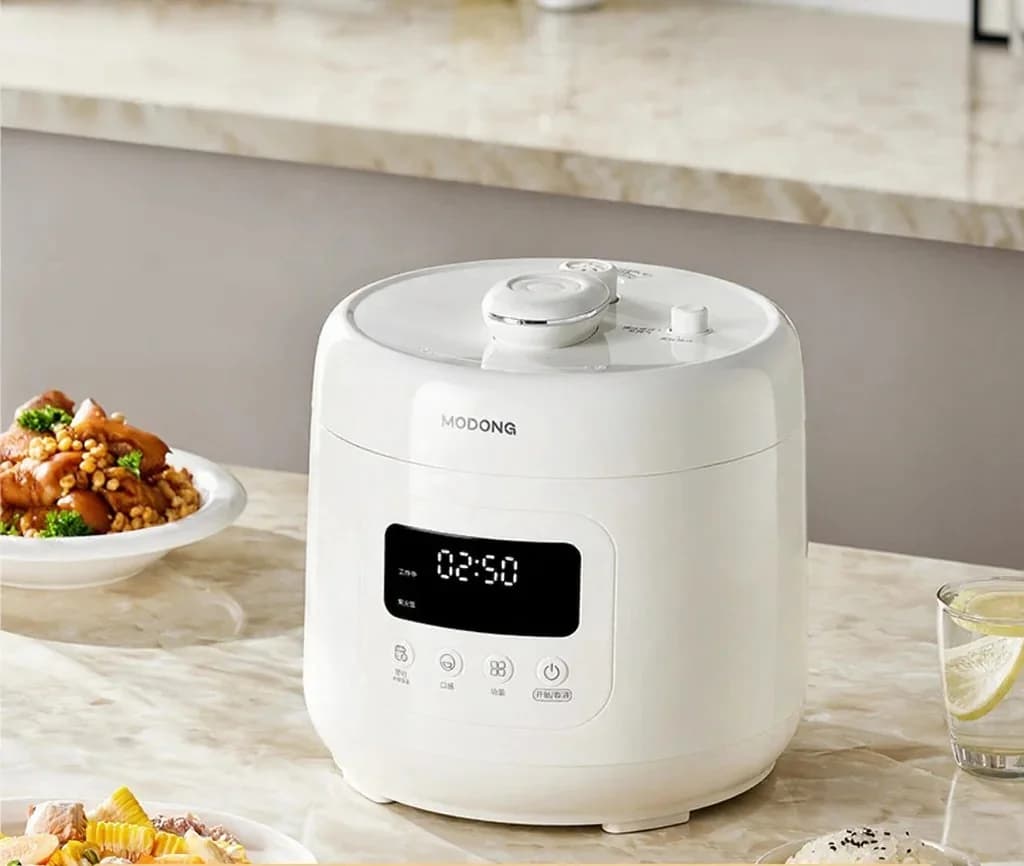 4L Electric Pressure Cooker with Ceramic Liner, 800W, 17-24H Timer