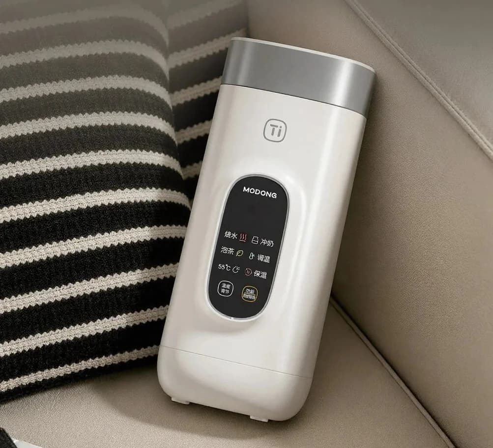 Titanium Electric Travel Water Heating Cup, 650ml, 220V