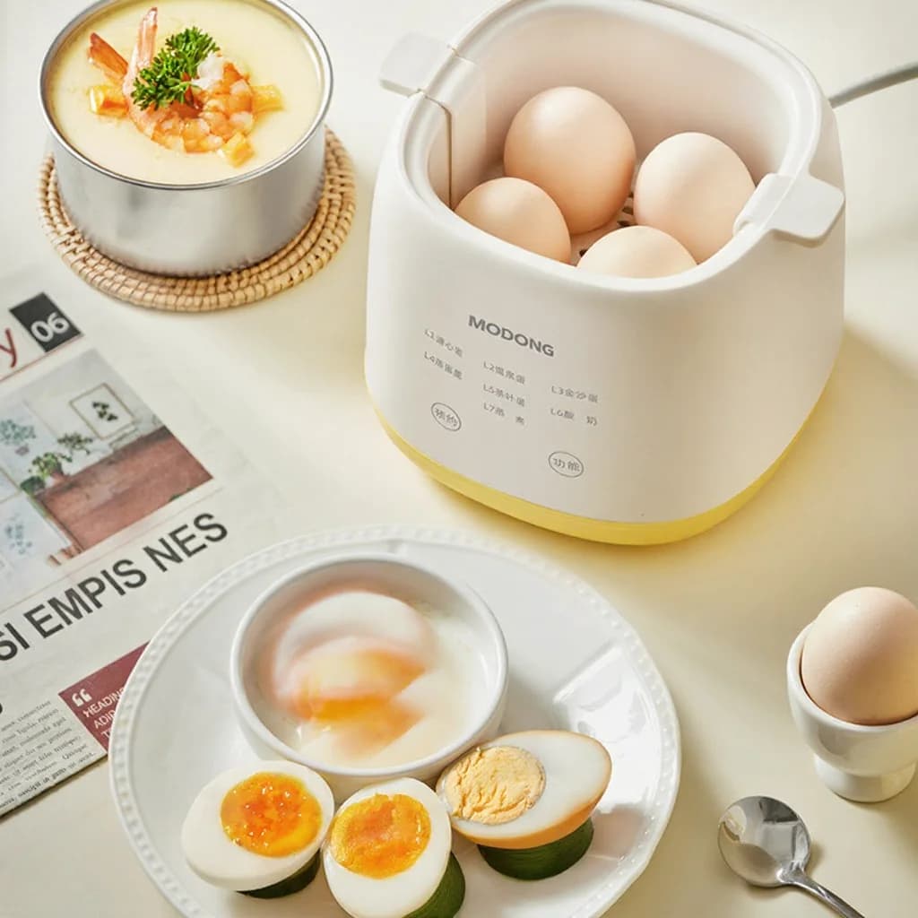Electric Egg Boiler 4-6 Eggs With Egg Custard Bowl