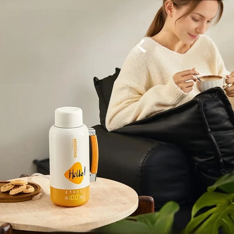 Portable Electric Heating Kettle Cup Car And Plug-In 1L 316 Stainless Steel