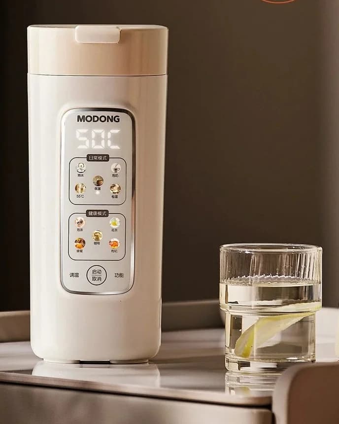 Portable Electric Water Heating Cup With Filter, 220V