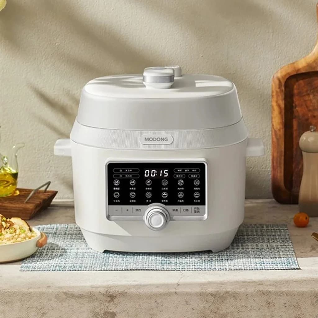 5L Electric Pressure Cooker With Dual Inner Pots