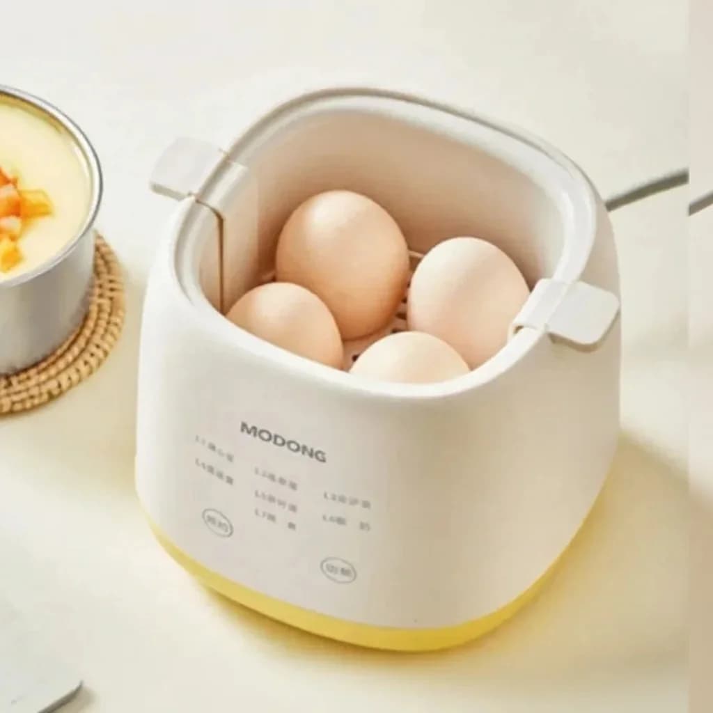 Electric Egg Boiler 4-6 Eggs With Egg Custard Bowl