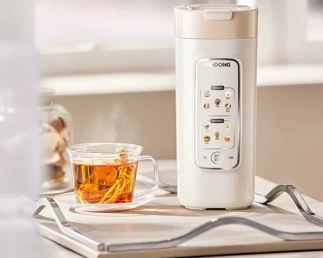 Portable Electric Water Heating Cup With Filter, 220V