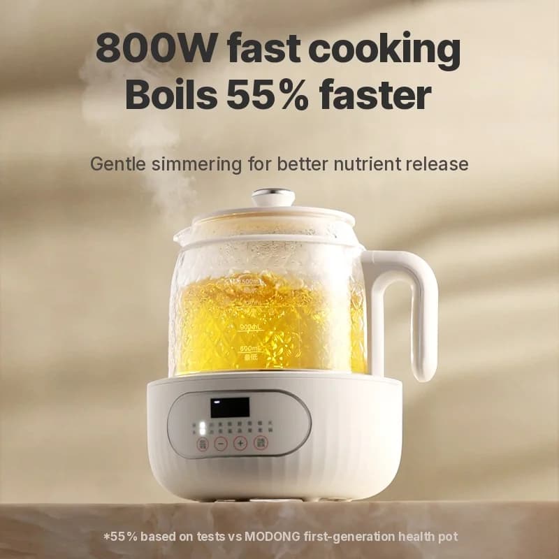Glass Electric Health Pot with Dual-Layer Anti-Scald