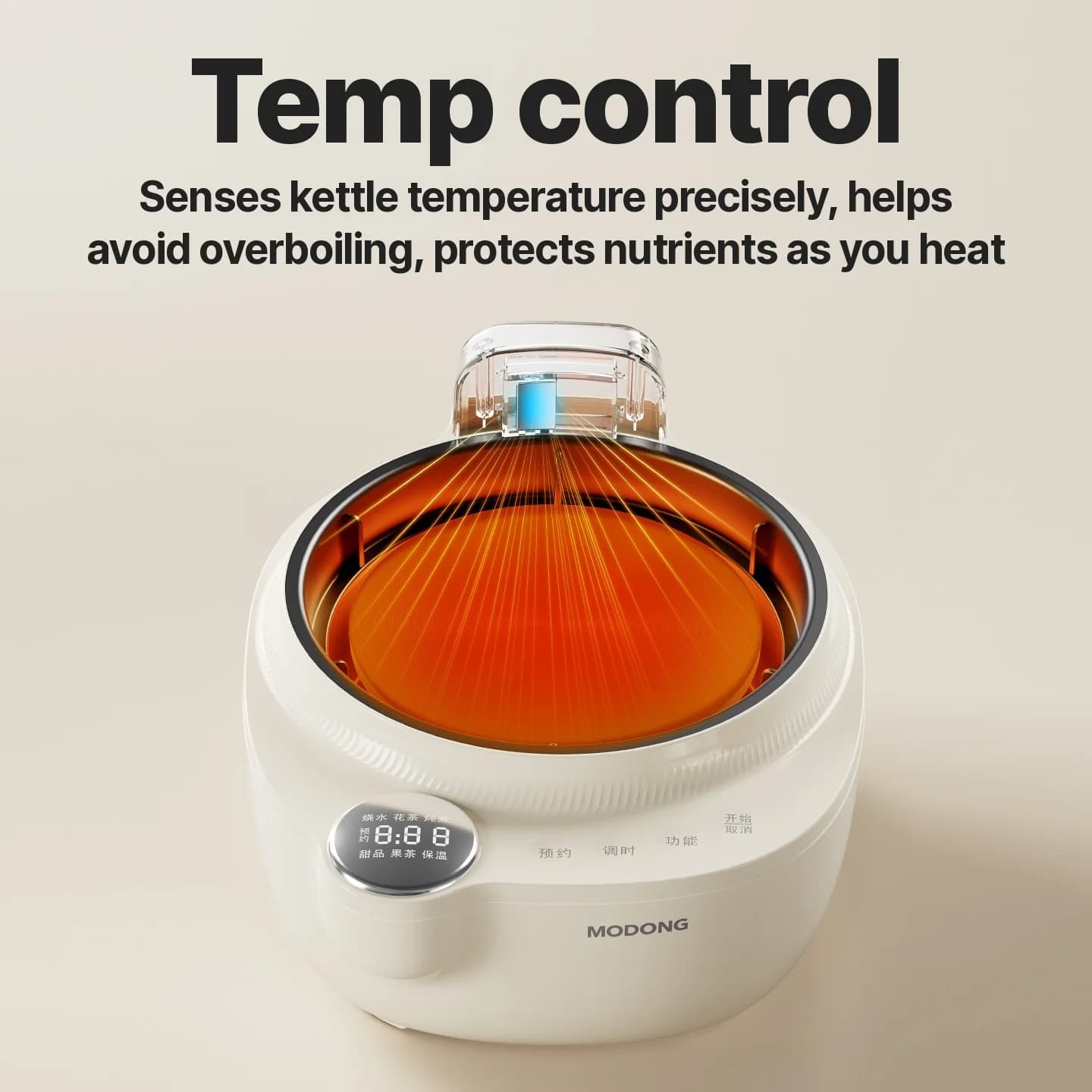 Glass Electric Tea Kettle With Temperature Control, 1L
