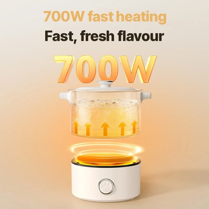 Portable Electric Cooking Pot With Pan And Steam Rack