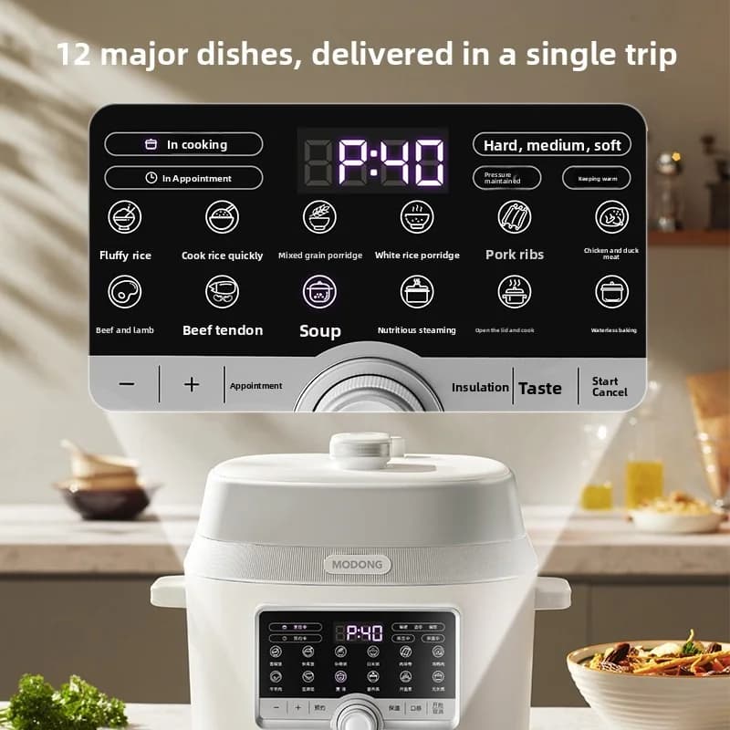 5L Electric Pressure Cooker With Dual Inner Pots
