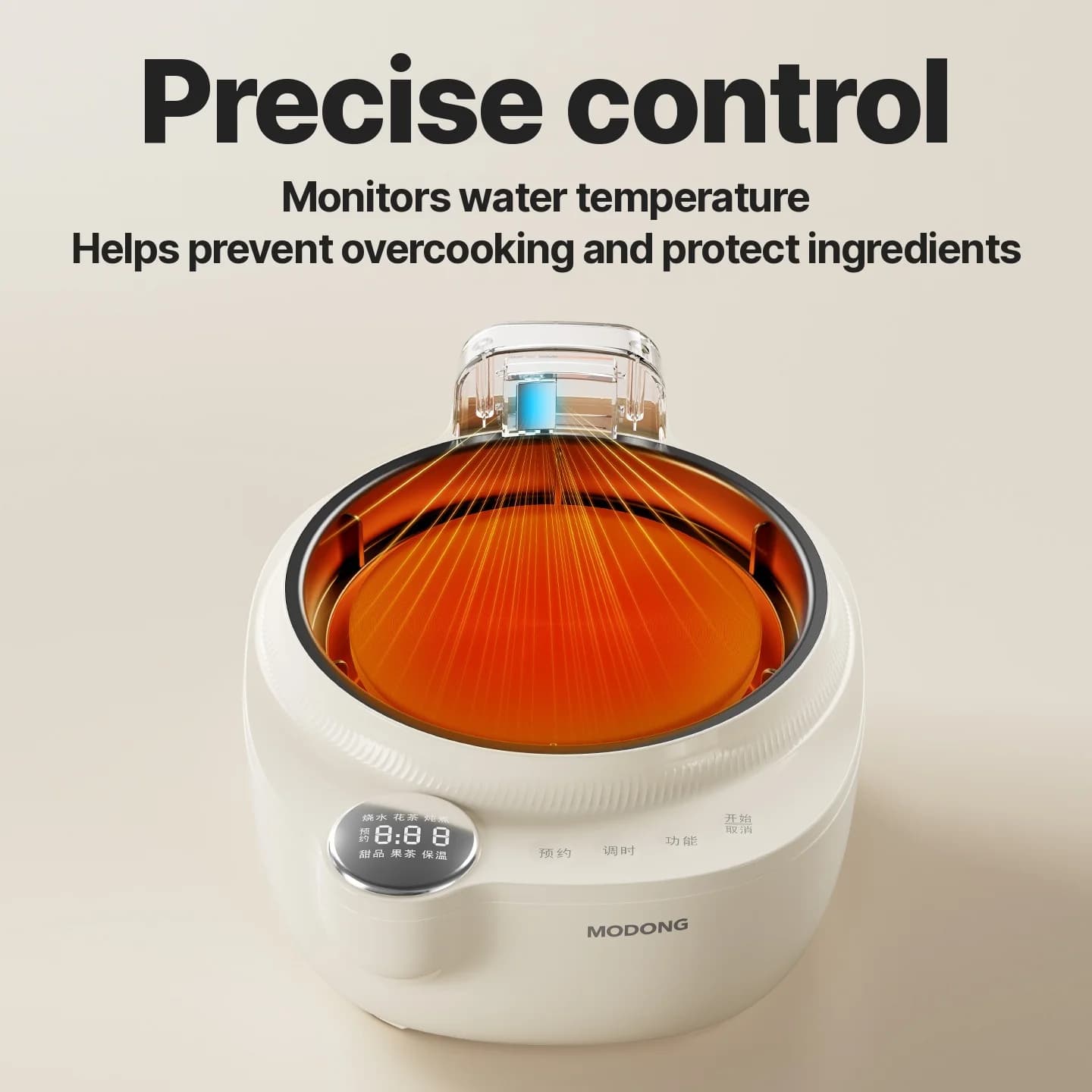 Glass Electric Tea Kettle With Temperature Control, 1L