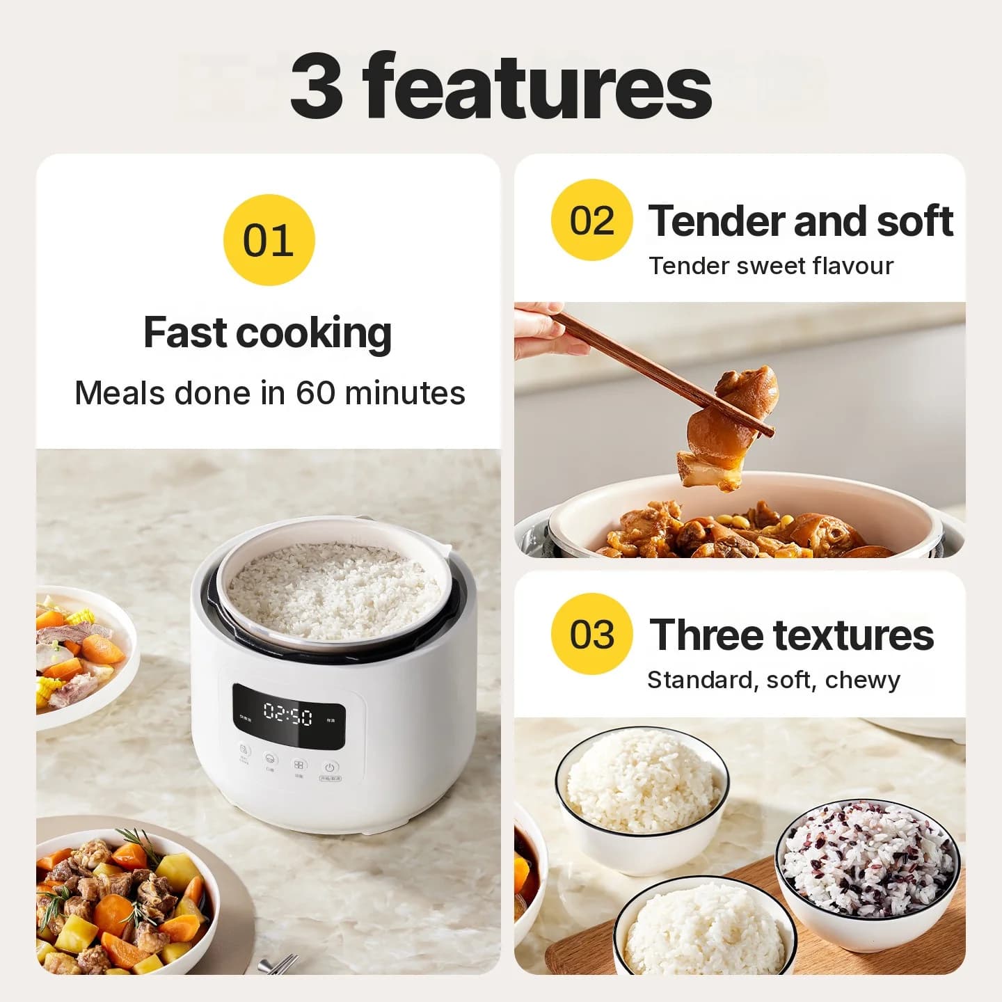 4L Electric Pressure Cooker with Ceramic Liner, 800W, 17-24H Timer
