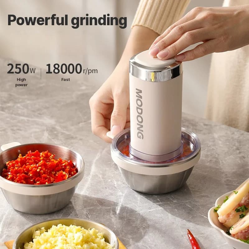 Electric Meat Grinder for Home Prep, 2-Speed Stainless Steel