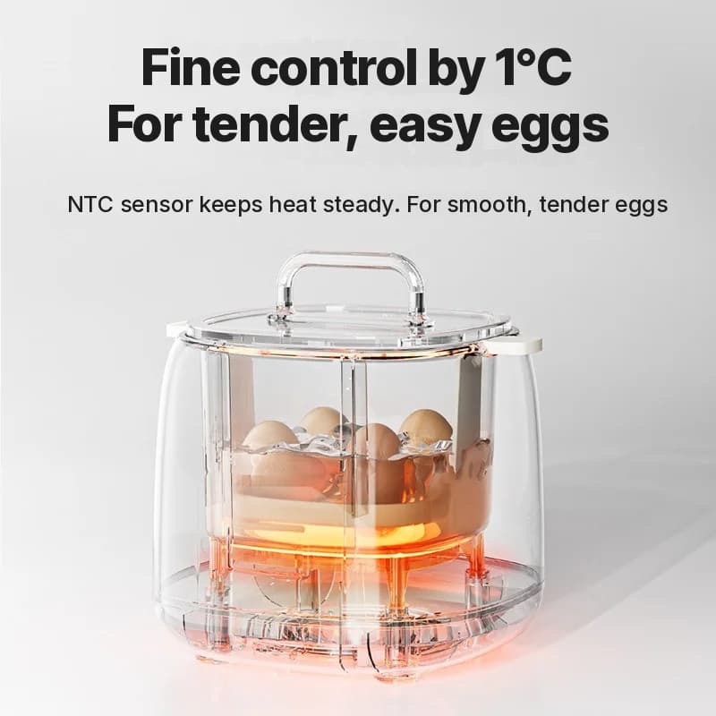 Electric Egg Boiler 4-6 Eggs With Egg Custard Bowl