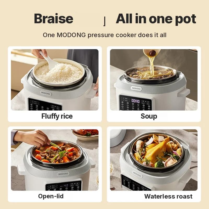 5L Electric Pressure Cooker With Dual Inner Pots