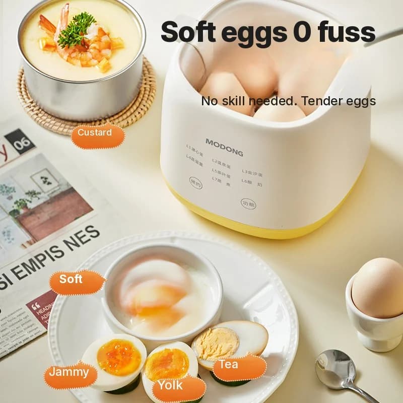 Electric Egg Boiler 4-6 Eggs With Egg Custard Bowl