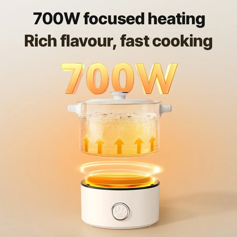 Portable Foldable Electric Cooking Pot 110V-220V 550W/700W