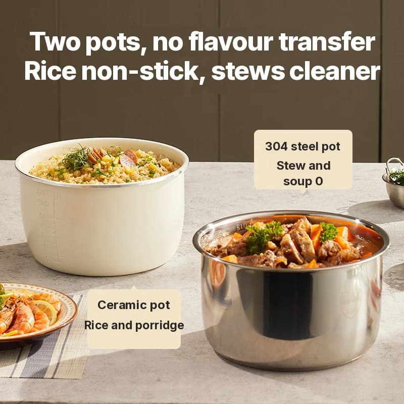 5L Electric Pressure Cooker With Dual Inner Pots