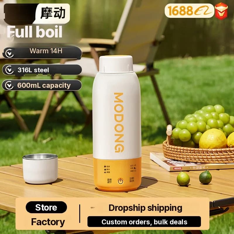 Portable Car Electric Water Heating Cup with Temperature Control