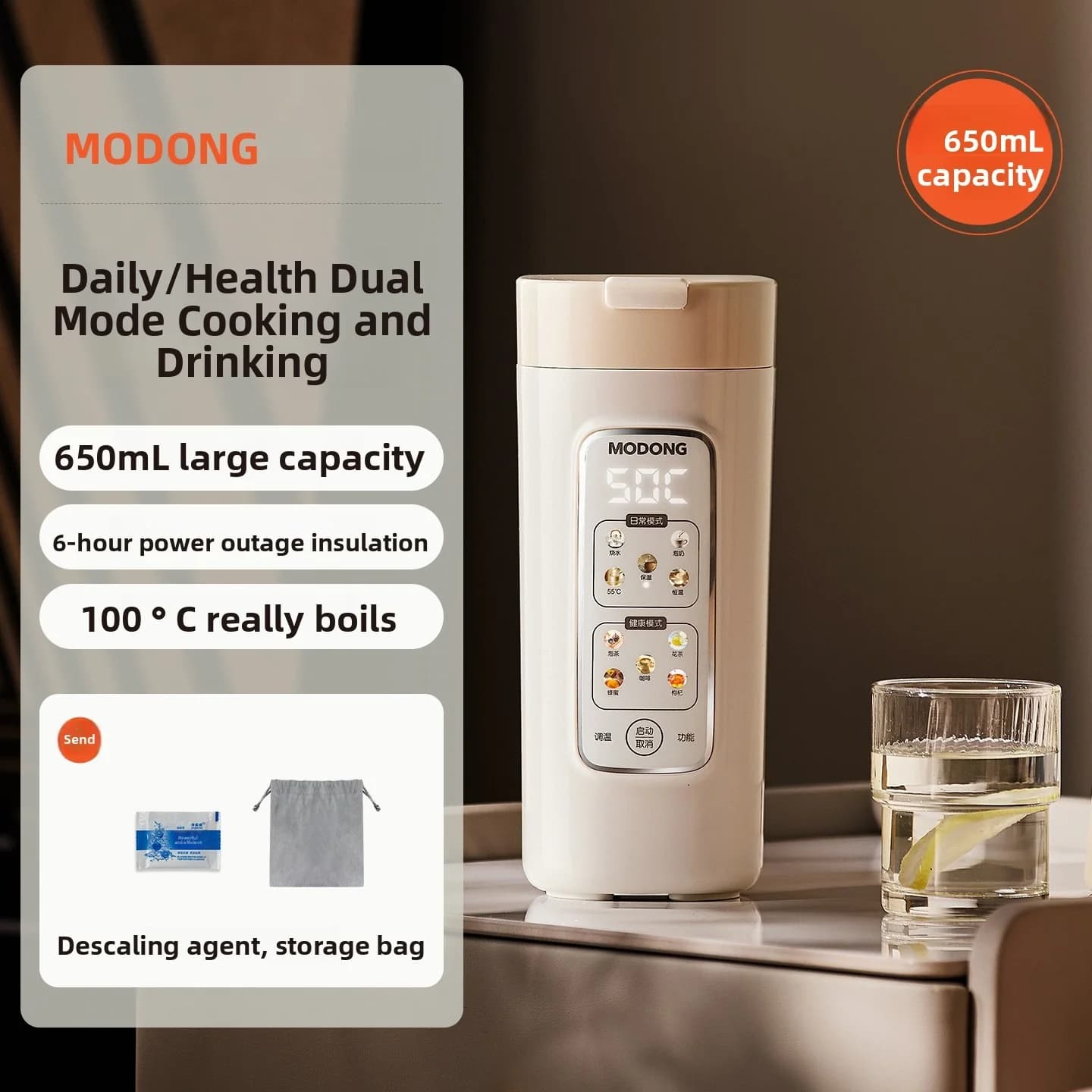 Portable Electric Water Heating Cup With Filter, 220V