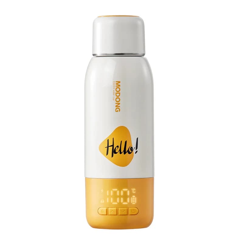 Electric Travel Kettle Mug 1L with Auto Shut-Off